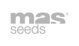 masseeds logo