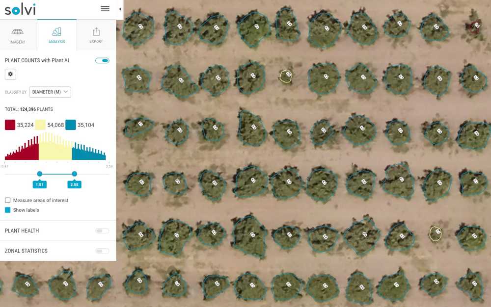 Tree Counts and Size Estimations