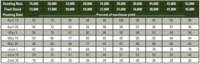 Impact of Plant Estabshment on Yield