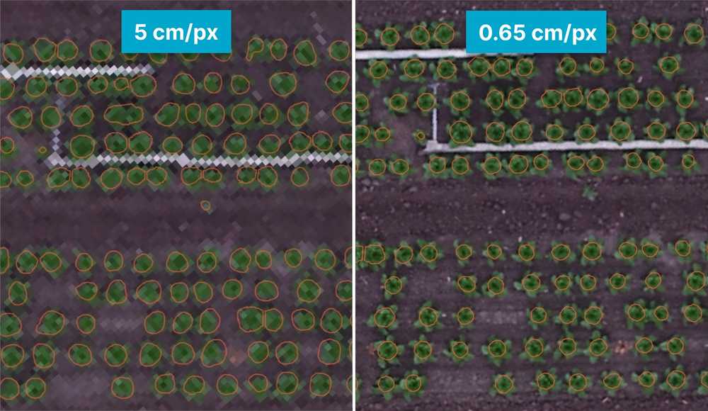 "low-high-resolution-comparison"